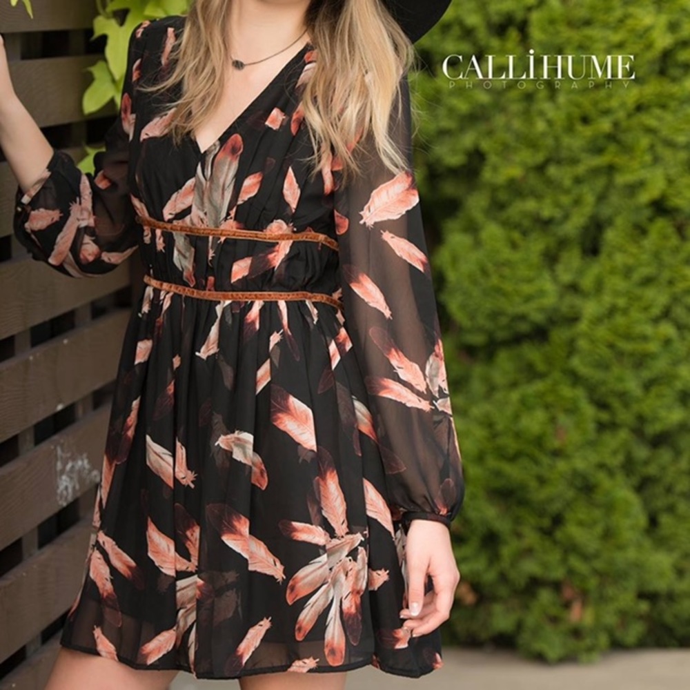 Long sleeve feather dress